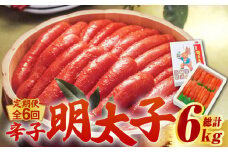 【全6回定期便】【化粧箱 包装紙付】宮近 の 無着色 辛子明太子 1kg (1本物)《築上町》【株式会社マル五】 明太子 めんたい 明太 [ABCJ064] 120000円