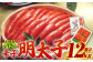 明太子 博多明太子 海産物 海鮮 魚卵 めんたいこ おかず 