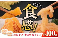 数の子明太子&いか明太子セット（各100g）【博多徳永とくとく珍味】《築上町》【株式会社マル五】 [ABCJ011] 10000円