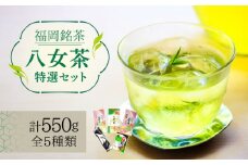 福岡銘茶八女茶 特選セット5種 合計550g 老舗製茶店の逸品《築上町》【株式会社マル五】 [ABCJ030] 15000円