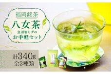 福岡銘茶 八女茶 ティーバッグ付 急須要らずのお手軽セット（便利なチャック付）《築上町》【株式会社マル五】 [ABCJ031] 11000円
