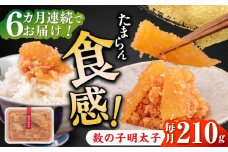 【全6回定期便】数の子明太子210g《築上町》【株式会社マル五】 [ABCJ091] 56000円