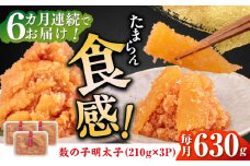 【全6回定期便】数の子明太子210g×3パック（計630g）《築上町》【株式会社マル五】 [ABCJ094] 92000円