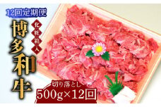 【全12回定期便】【化粧箱入】博多和牛A5～A4 切り落とし 500g《築上町》【株式会社マル五】 [ABCJ113] 175000円
