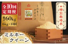 【全10回定期便】【先行予約・令和7年産】特別栽培米 ミルキークイーン 6kg 《築上町》【Nouhan農繁】[ABAU045] 精米 米 ご飯 ごはん こめ コメ 137000円