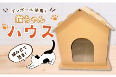 【組み立て簡単】ダンボール 使用！！ 猫ちゃんハウス 《築上町》【ニッポー紙器株式会社】 [ABCI001] 17000円