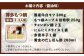 博多 もつなべ もつ鍋 モツ 本場 国産牛