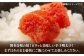 明太子 博多明太子 海産物 海鮮 魚卵 めんたいこ おかず 