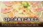 鶏肉 とりにく ハム 生ハム おつまみ 肉