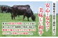 肉 博多和牛 牛肉 赤身 しゃぶしゃぶ すき焼き