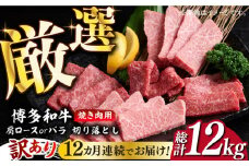 【全12回定期便】【訳あり】博多和牛 焼肉 切り落とし1kg（500g×2p）《築上町》【MEAT PLUS】肉 お肉 牛肉 [ABBP156] 132000円