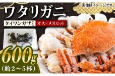 【30セット限定！予約受付】豊前海産 タイワンガザミ 600g (2～5杯前後) オス メス セット 《築上町》【明青丸】 ワタリガニ 渡り蟹 蟹 カニ [ABCB003] 10000円