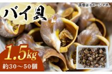 【30セット限定！予約受付】豊前海産 バイ貝 1.5kg (30～50個前後) 《築上町》【明青丸】 バイガイ 貝 カイ [ABCB004] 10000円