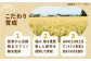 ミルキークイーン ミルキークィーン 9kg お米 米 白米 おにぎり ご飯 こめ コメ 国産 九州産 もちもち つやつや