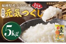 【先行予約】【令和7年産】福岡県産ブランド米「元気つくし」無洗米 5kg【2025年11月以降順次発送】《築上町》【株式会社ゼロプラス】 [ABDD002] お米 白ご飯 元気つくし ブランド米 おにぎり 22000円