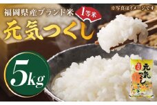 【先行予約】【令和7年産】福岡県産ブランド米「元気つくし」白米 5kg【2025年11月以降順次発送】《築上町》【株式会社ゼロプラス】 [ABDD001] お米 白ご飯 元気つくし ブランド米 おにぎり 21000円