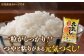 お米 白ご飯 元気つくし ブランド米 おにぎり お寿司 白米 ごはん 福岡県産 もちもち