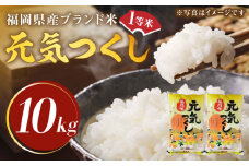 【先行予約】【令和7年産】福岡県産ブランド米「元気つくし」白米 10kg (5kg×2袋)【2025年11月以降順次発送】《築上町》【株式会社ゼロプラス】 [ABDD003] お米 白ご飯 元気つくし ブランド米 おにぎり42000円