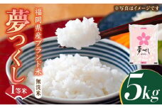【先行予約】【令和7年産】福岡県産ブランド米「夢つくし」無洗米 5kg【2025年9月以降順次発送】《築上町》【株式会社ゼロプラス】 [ABDD008]  お米 白ご飯 夢つくし ブランド米 おにぎり 21000円