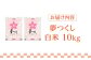 お米 白ご飯 夢つくし ブランド米 おにぎり お寿司 白米 ごはん 福岡県産 もちもち