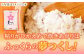 お米 白ご飯 夢つくし ブランド米 元気つくし おにぎり お寿司 白米 ごはん 福岡県産 もちもち 食べ比べ セット 10kg