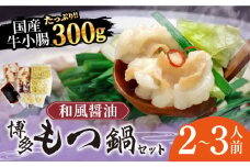 博多もつ鍋セット（和風醤油仕立て）2〜3人前《築上町》【株式会社ベネフィス】 [ABDF001] 12000円