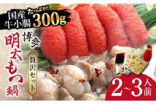 博多明太もつ鍋セット（2〜3人前）《築上町》【株式会社ベネフィス】 [ABDF003] 15000円