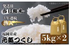米 【特A】「元気つくし」 5kg×2袋 [10kg] [白米] 《築上町》【株式会社ベネフィス】 [ABDF030]  米 白米 精米 ご飯 ごはん こめ コメ 37000円