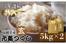 米 【特A】「元気つくし」5kg×2袋 [10kg] [玄米]《築上町》【株式会社ベネフィス】 [ABDF031] 米 ご飯 ごはん こめ コメ おにぎり 37000円