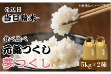 【先行予約】福岡県産【特A米】元気つくし【A米】夢つくしの食べ比べ 各5kg×2袋 [10kg] [白米]【2024年11月下旬以降順次発送】《築上町》【株式会社ベネフィス】 [ABDF033] 精米 米 ご飯 ごはん こめ コメ 26000円