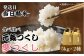 特A 精米 白米 米 白ごはん ご飯 ごはん こめ コメ おにぎり 新鮮 国産 九州 九州産 福岡県産 夢つくし 元気つくし