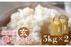 【先行予約】福岡の食卓ではおなじみの人気のお米「夢つくし」5kg×2袋 [10kg] [玄米]【2024年11月下旬以降順次発送】《築上町》【株式会社ベネフィス】 [ABDF034] ご飯 ごはん 米 こめ コメ おにぎり 26000円