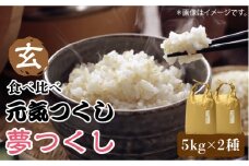【先行予約】福岡県産【特A米】元気つくし【A米】夢つくしの食べ比べ 各5kg×2袋 [10kg] [玄米]【2024年11月下旬以降順次発送】《築上町》【株式会社ベネフィス】 [ABDF035] 精米 米 ご飯 ごはん こめ コメ 26000円