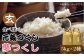 玄米 食べ比べ 福岡県産 お米 米 おにぎり 九州 A 特A 玄米 米 ご飯 ごはん こめ コメ おにぎり 新鮮 国産 九州