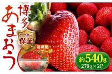 【1月上旬り順次発送】農家直送 朝採り新鮮いちご【博多あまおう】約270g×2パック《築上町》【株式会社H&Futures】 [ABDG001] 11000円