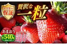 【1月上旬より順次発送】農家直送 朝採り新鮮いちご【博多あまおう】約270g×2パック《築上町》【株式会社H&Futures】 [ABDG001] 11000円