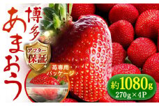 【1月上旬より順次発送】農家直送 朝採り新鮮いちご【博多あまおう】約270g×4パック《築上町》【株式会社H&Futures】 [ABDG002] 15000円
