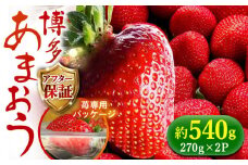 【2月1日から順次発送】農家直送 朝採り新鮮いちご【博多あまおう】約270g×2《築上町》【株式会社H&Futures】 [ABDG003] 8000円