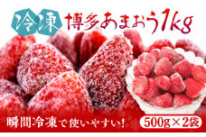 福岡県産【博多冷凍あまおう】約500g×2袋 合計約1kg《築上町》【株式会社H&Futures】 [ABDG005] 10000円