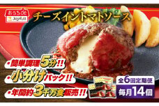 【全6回定期便】ジョイフル ハンバーグ 14個( チーズイン + トマトソース )《築上町》【株式会社　ジョイフル】[ABAA025] 牛100% ギフト 大容量 肉 牛 はんばーぐ ファミレス 冷凍 簡単 おかず 弁当 小分け 個包装 保存料不使用 人気定期便 63000円