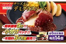 【全6回定期便】ジョイフル ハンバーグ 14個 ( チーズインデミグラスソース )《築上町》【株式会社　ジョイフル】[ABAA034] 牛100% ギフト 大容量 肉 牛 はんばーぐ ファミレス 冷凍 簡単 おかず 弁当 小分け 個包装 保存料不使用 人気定期便 63000円