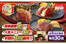 【全6回定期便】ジョイフル ハンバーグ スペシャル 詰め合わせ 3種 30個 セット《築上町》【株式会社　ジョイフル】[ABAA043] 牛100% ギフト 食べ比べ 大容量 肉 牛 はんばーぐ ファミレス 冷凍 簡単 おかず 弁当 小分け 個包装 保存料不使用 人気定期便 110000円