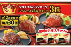 【全12回定期便】【福岡工場直送】ジョイフル ハンバーグ スペシャル 詰め合わせ 3種 30個セット《築上町》【株式会社　ジョイフル】 [ABAA044] 220000円