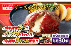 【全6回定期便】ジョイフル ハンバーグ 30個( チーズイン + トマトソース )《築上町》【株式会社　ジョイフル】[ABAA049] 牛100% ギフト 大容量 肉 牛 はんばーぐ ファミレス 冷凍 簡単 おかず 弁当 小分け 個包装 保存料不使用 人気定期便 110000円