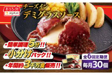 【全6回定期便】ジョイフル ハンバーグ 30個 ( チーズインデミグラスソース )《築上町》【株式会社　ジョイフル】[ABAA055] 牛100% ギフト 大容量 肉 牛 はんばーぐ ファミレス 冷凍 簡単 おかず 弁当 小分け 個包装 保存料不使用 人気定期便 110000円