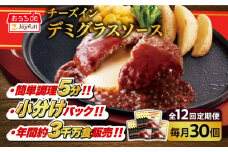 【全12回定期便】【福岡工場直送】ジョイフル ハンバーグ 30個 ( チーズインデミグラスソース )《築上町》【株式会社　ジョイフル】 [ABAA056] 220000円