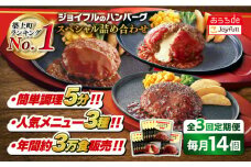 【全3回定期便】ジョイフル ハンバーグ スペシャル 詰め合わせ 3種 14個 セット《築上町》【株式会社　ジョイフル】[ABAA057] 牛100% ギフト 食べ比べ 大容量 肉 牛 はんばーぐ ファミレス 冷凍 簡単 おかず 弁当 小分け 個包装 保存料不使用 人気定期便 32000円