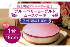 【全3回定期便】【築上町産ブルーベリー使用】 ブルーベリー ヨーグルト ムース ケーキ《築上町》【(有)工房よしかわ】 国産 ブルーベリー [ABAK004] 34000円