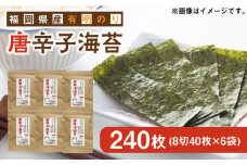 福岡県産有明のり とうがらし海苔 8切40枚入×6袋入 《築上町》【株式会社ゼロプラス】 [ABDD024] 11000円