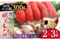 【全6回定期便】博多明太もつ鍋セット（2〜3人前）《築上町》【株式会社ベネフィス】 [ABDF047] 87000円